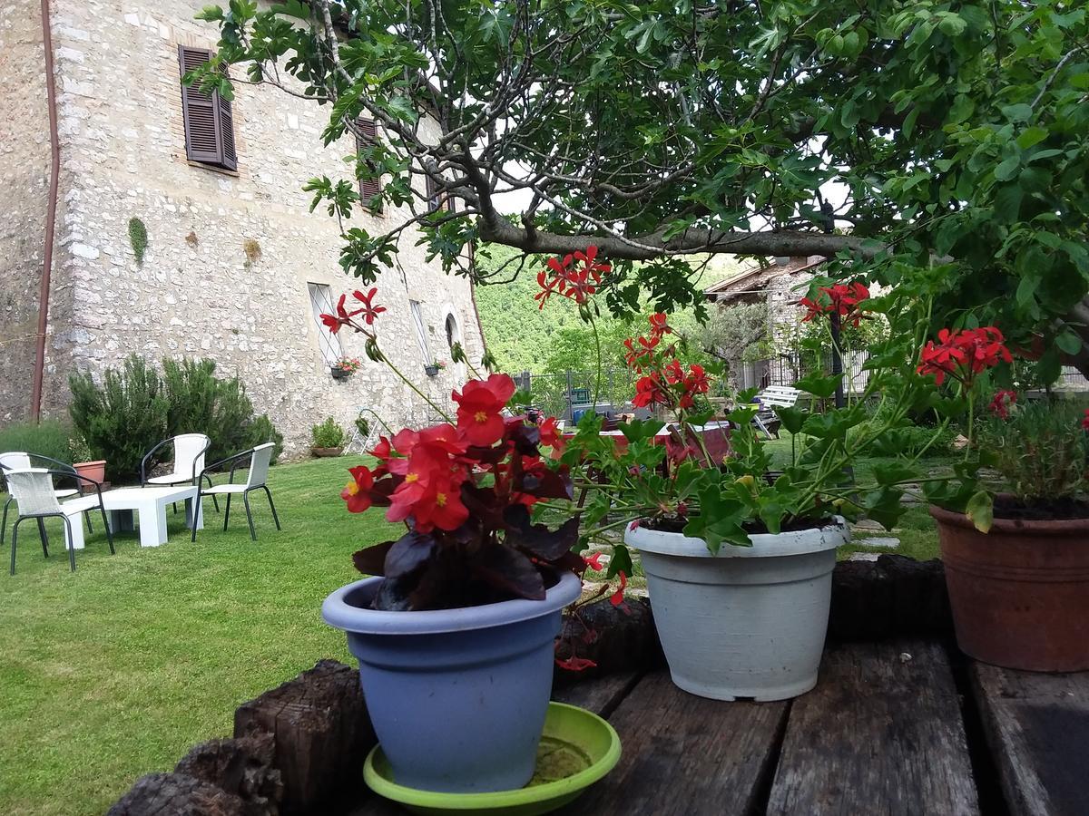 Villa Campagna in Compagnia Vallo di Nera Esterno foto